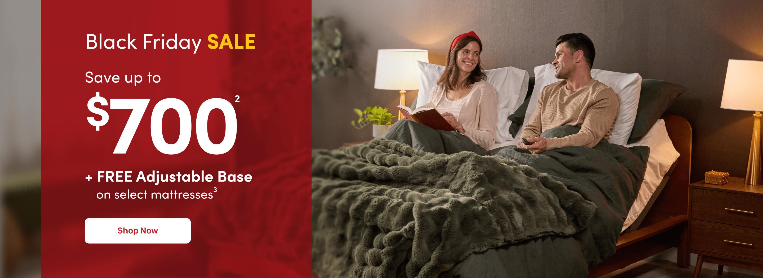 Black Friday Sale